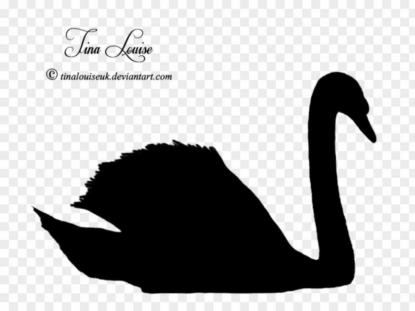 Black Swan Duck Goose Silhouette Clip Art PNG