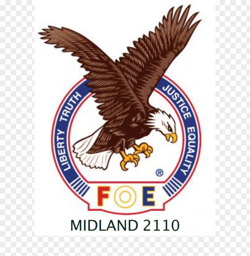 Eagles Logo Fraternal Order Of #4208 Fraternity Philadelphia PNG