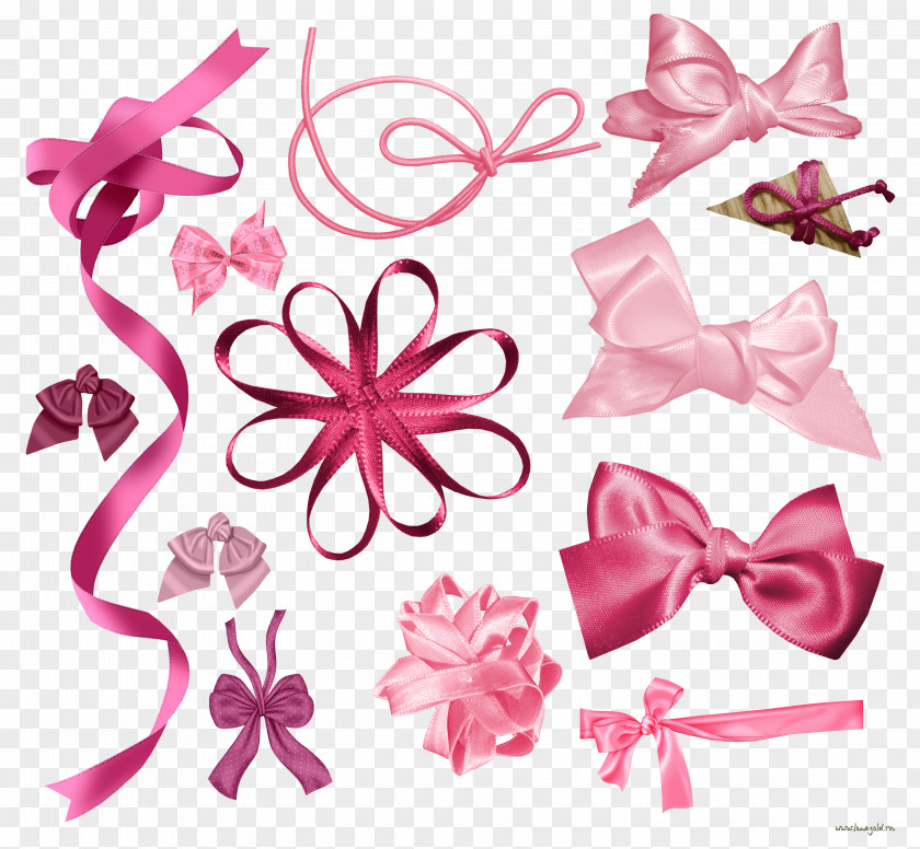Ribbon The Present Un-Tensed: Open Gift Of Life Right Now Floral Design Cut Flowers PNG