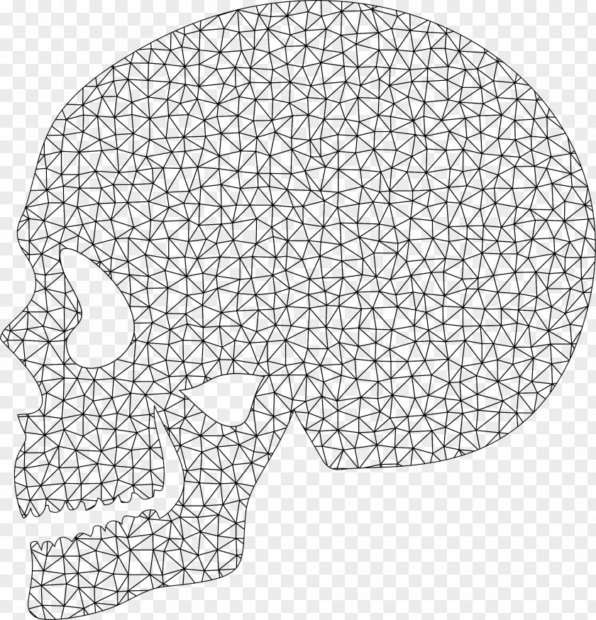 Skull Human Head Bone Anatomy PNG