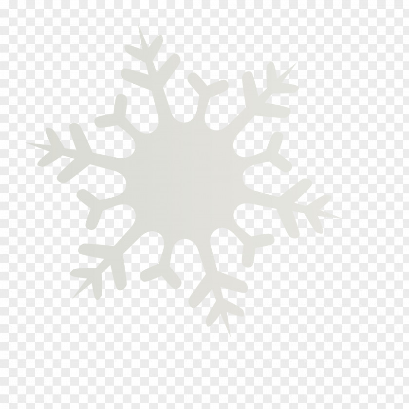 Christmas Snowflakes Snowflake Vecteur PNG