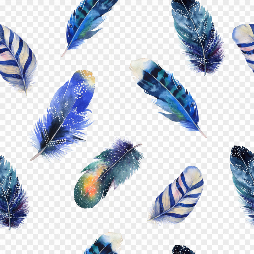 Feather Bird Watercolor Painting Drawing Illustration PNG