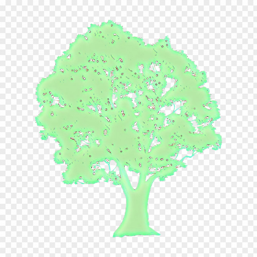 Green Tree Leaf Plant PNG