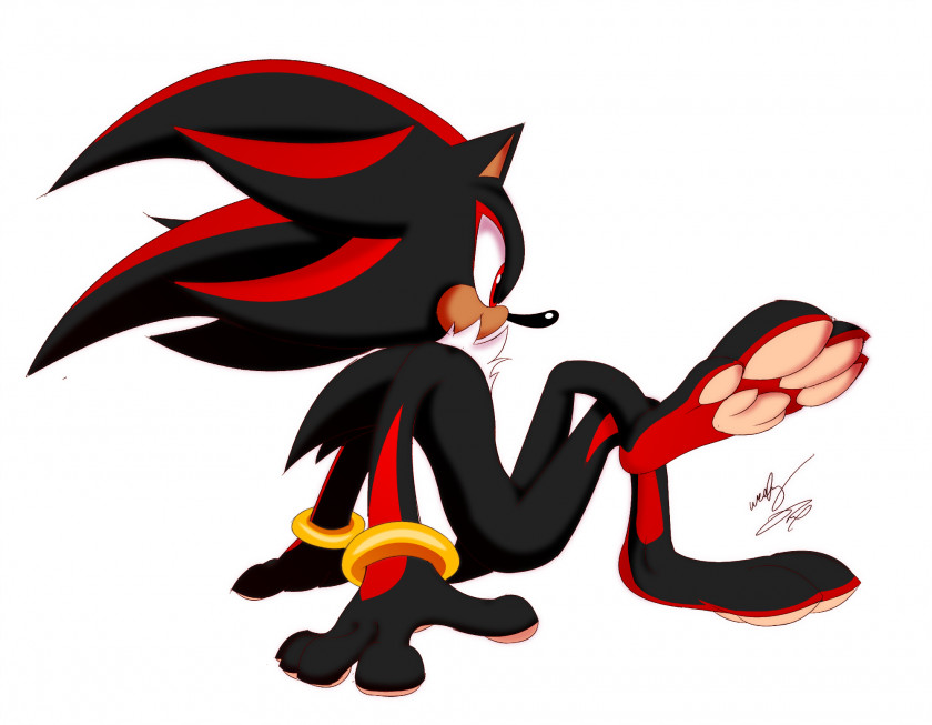 Shadow Sonic The Hedgehog Tails Shoe PNG