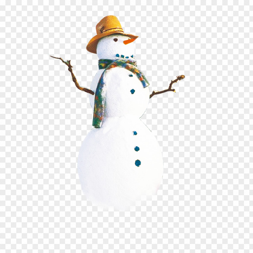 Snowman Wearing A Hat PNG