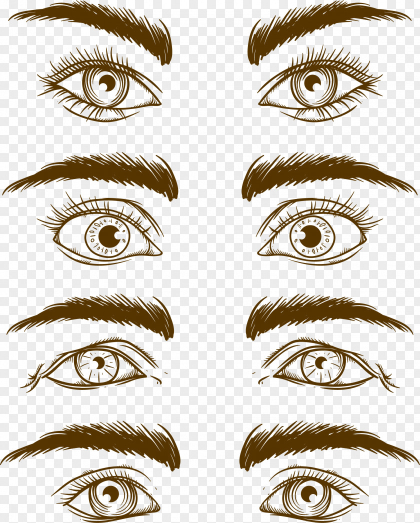 Close-up Of People Eye Eyebrow Euclidean Vector Drawing PNG