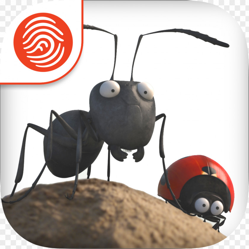 Insect Ant Bunny Math Race Wonder Math: 1st Grade Film PNG