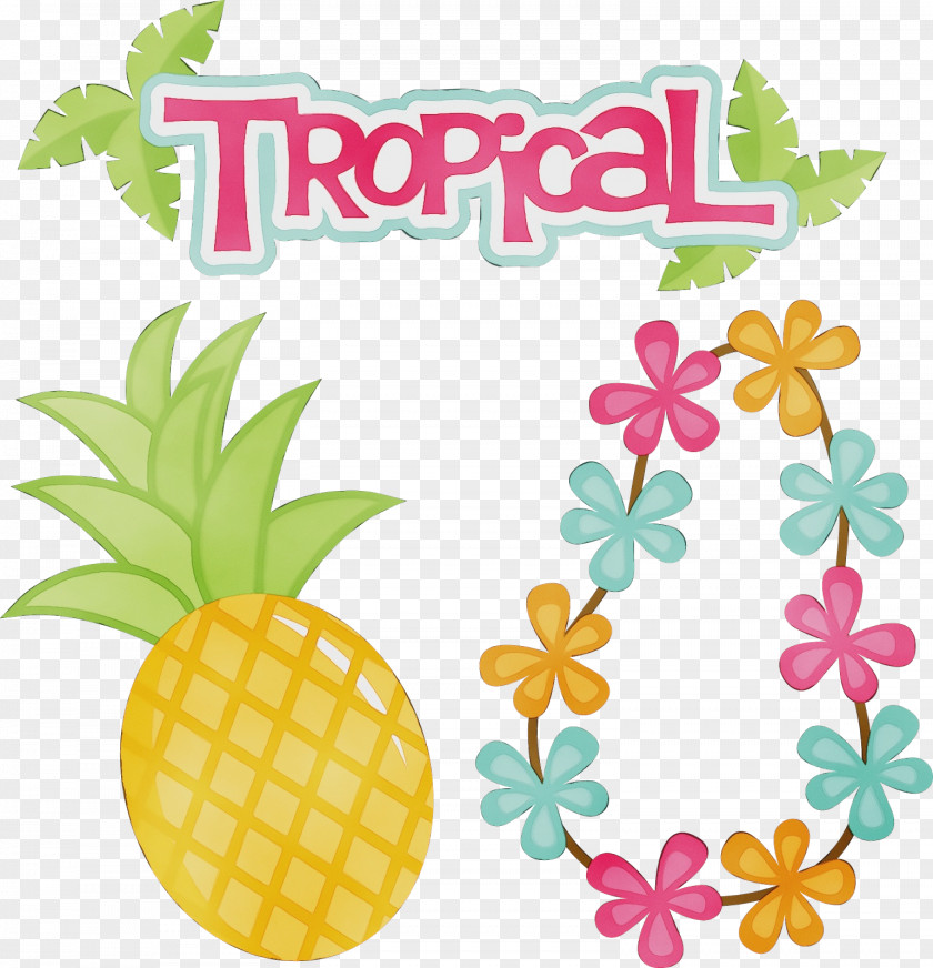 Plant Ananas Watercolor PNG