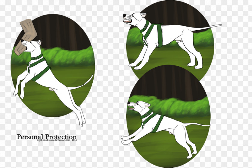 Self-protection Consciousness Horse PNG