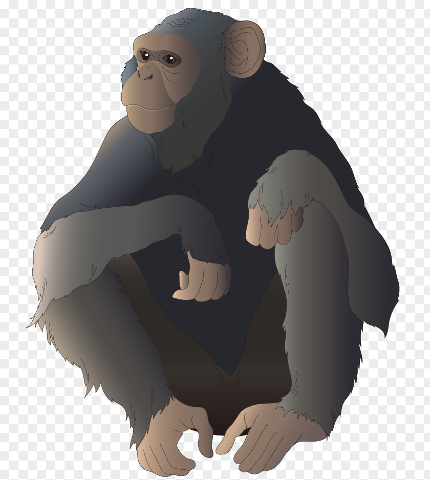 Cartoon Gorilla Common Chimpanzee Monkey Ape Illustration PNG