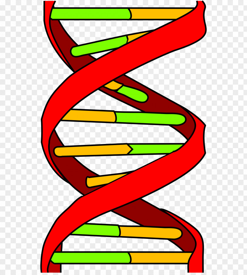 DNA Genetics Nucleic Acid Double Helix Genetic Testing PNG