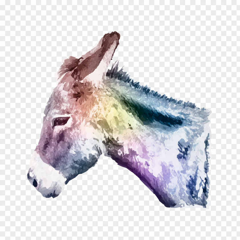 Donkey Watercolor Painting PNG