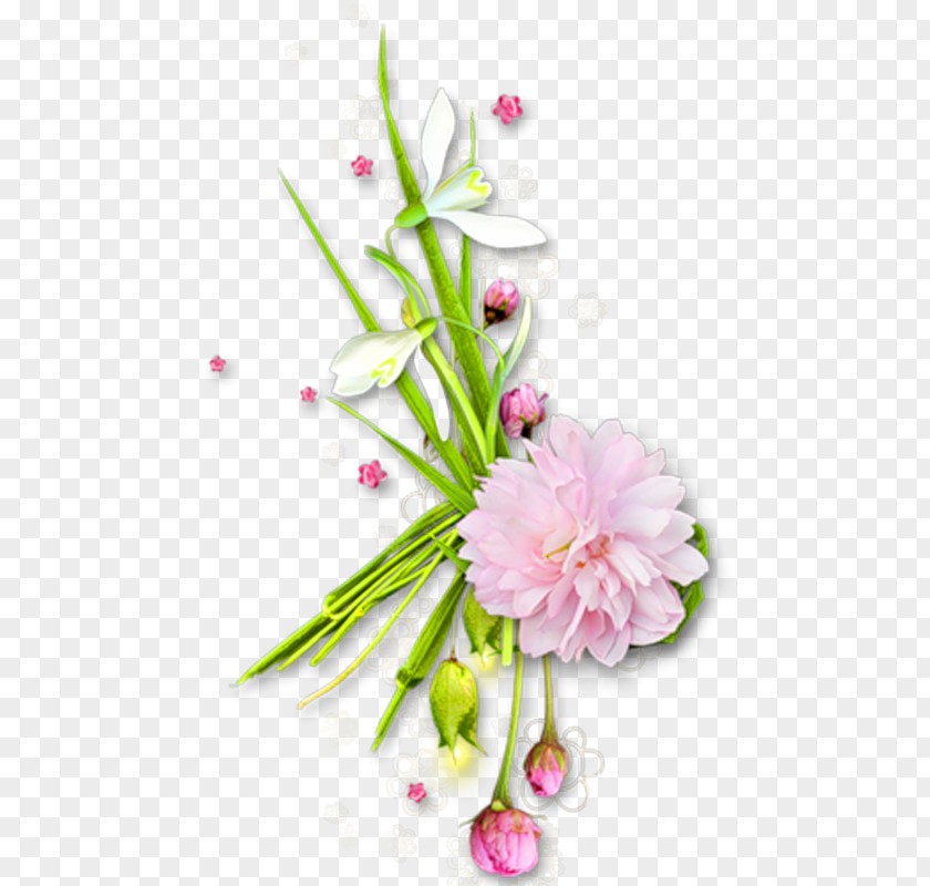 Flower Cut Flowers Floral Design Bouquet Image PNG