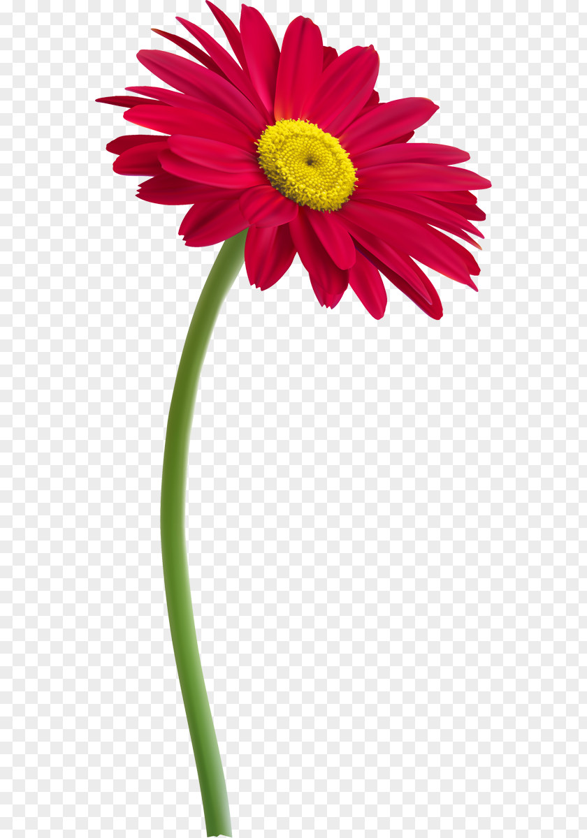 Flower Plant Stem Clip Art PNG