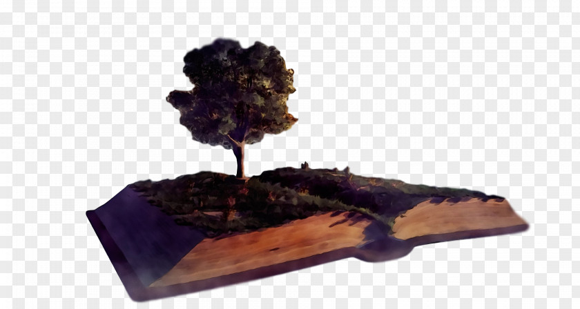 /m/083vt Wood M-tree Tree PNG
