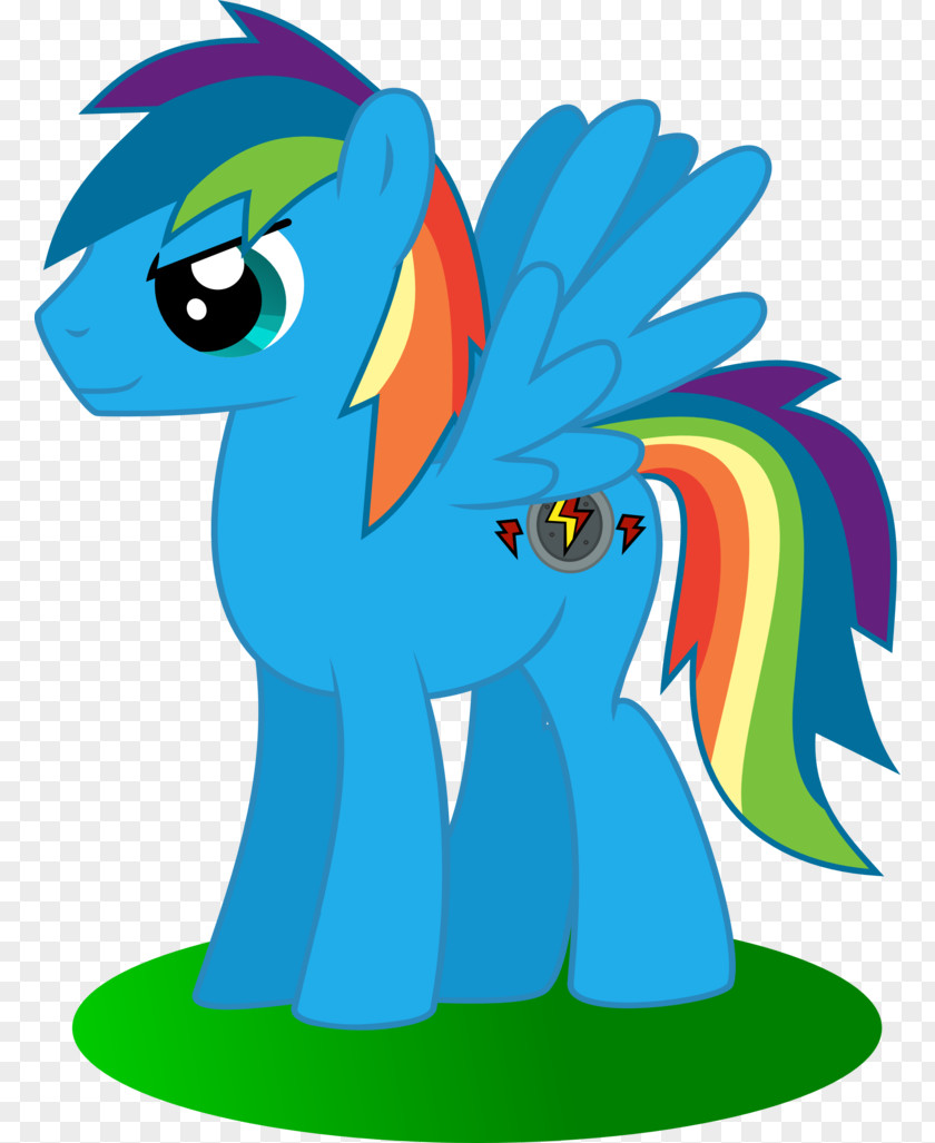 My Little Pony: Friendship Is Magic Fandom Rainbow Dash Horse Illustration PNG