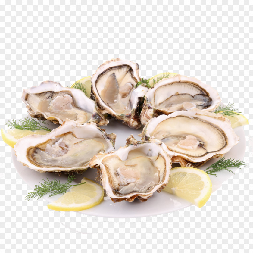 Barbecue Clams Oyster Caridea French Cuisine Seafood PNG