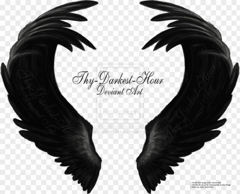 Dark Wings Drawing Angel Wing Art Feather PNG