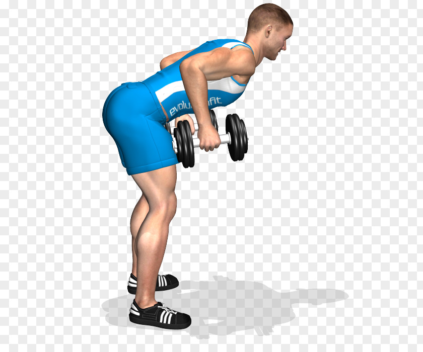 Dumbbell Shoulder Physical Fitness Exercise Muscle PNG