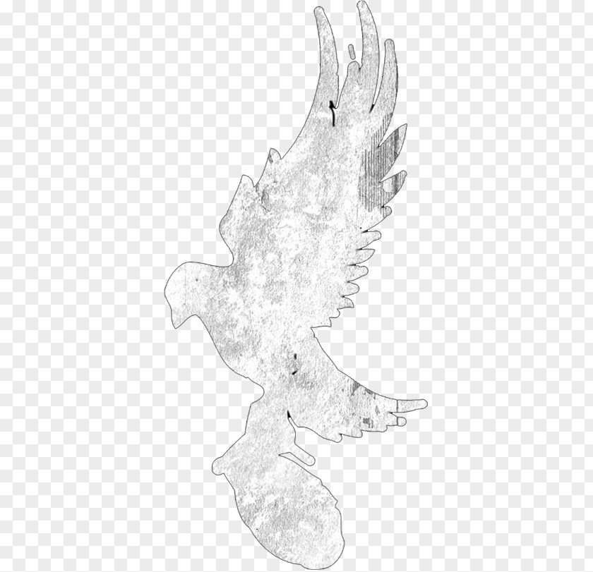 Hollywood Undead Logo Chicken Bird Anatidae Cygnini Sketch PNG