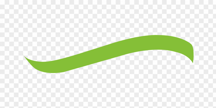 Ribbon Logo Brand Angle Font PNG