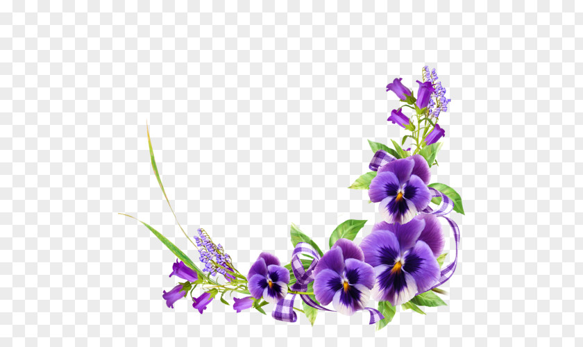 Violet Floral Design Flower PNG