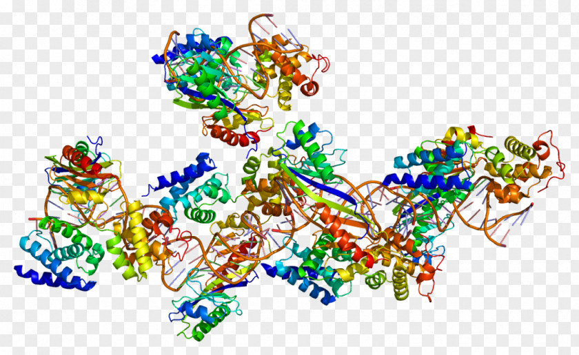 Vitamin TATA-binding Protein Transcription Factor II B D PNG