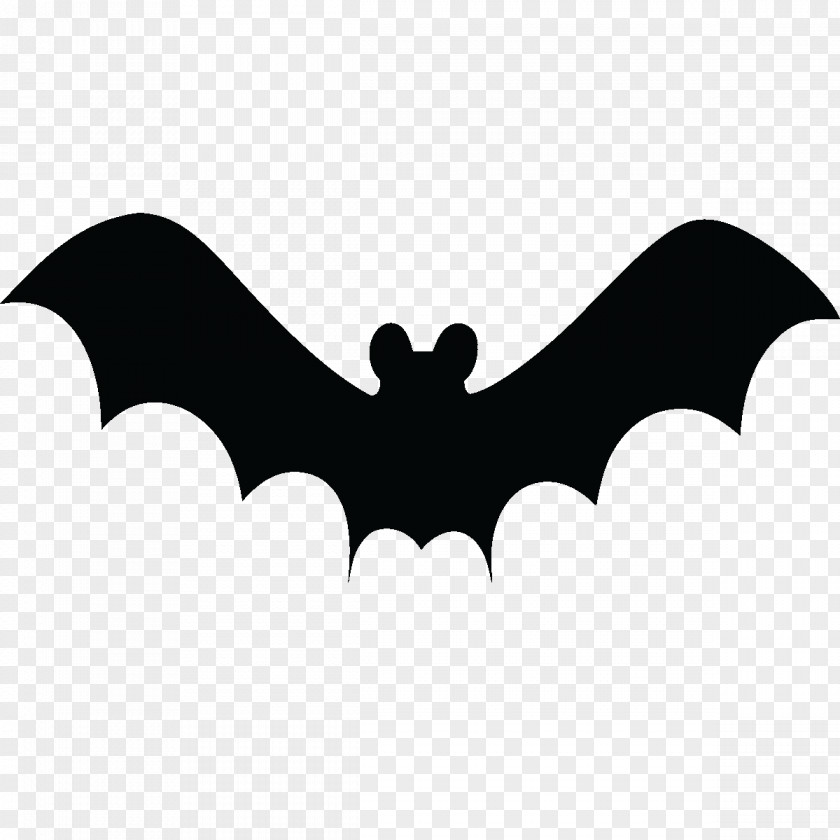 Bat Baseball Bats Clip Art PNG