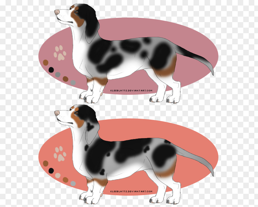 Dachshunds Dog Breed Beagle Companion Tail PNG