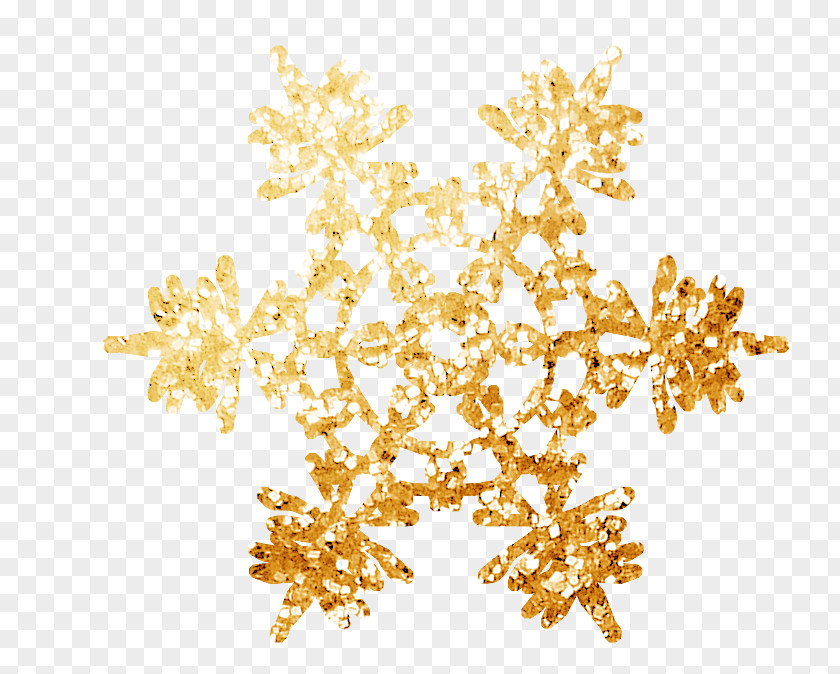 Snowflake Image Clip Art Vector Graphics PNG