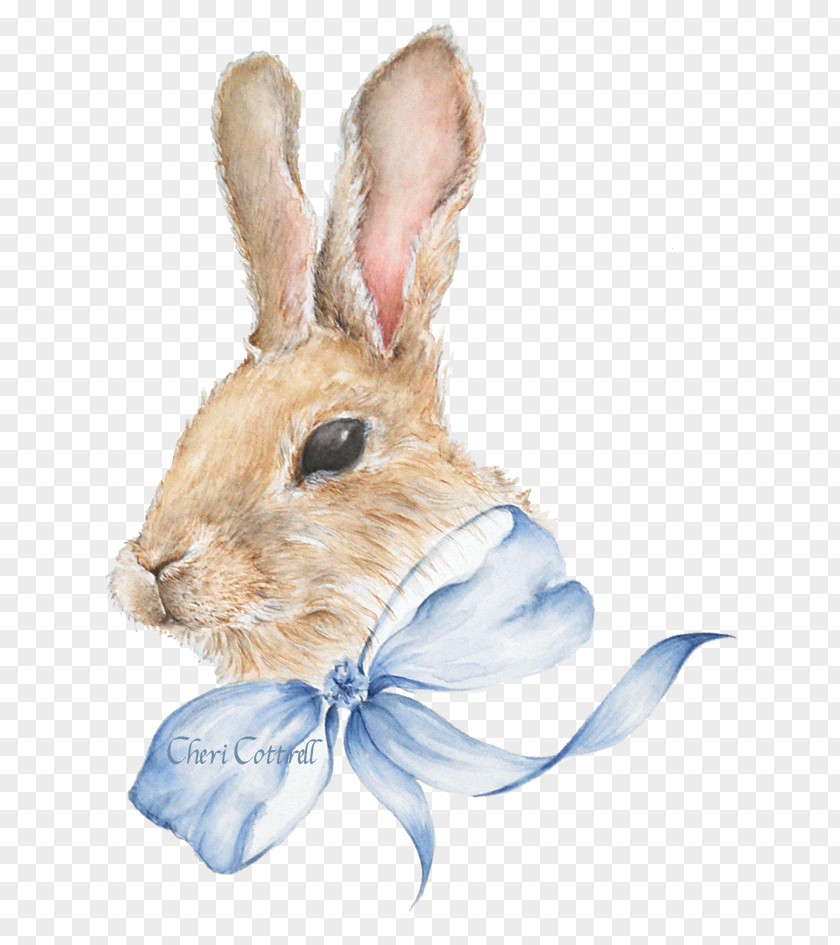 Watercolor Bunny Easter Hare Domestic Rabbit PNG