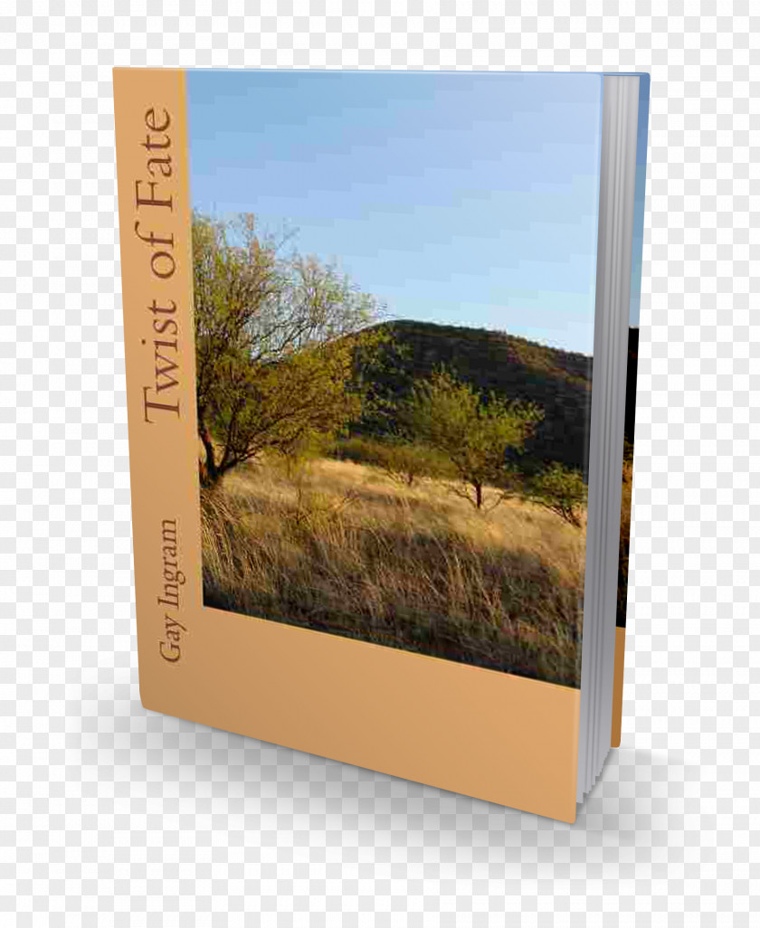 Book Twist Of Fate Paperback Picture Frames PNG