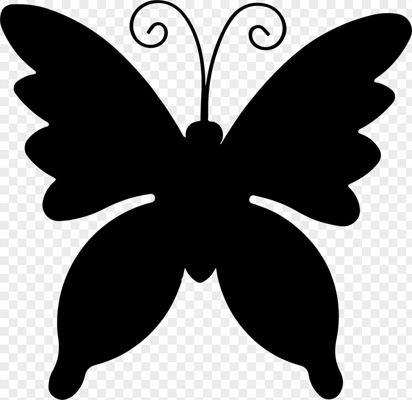 Butterfly Swallowtail Stencil Silhouette PNG