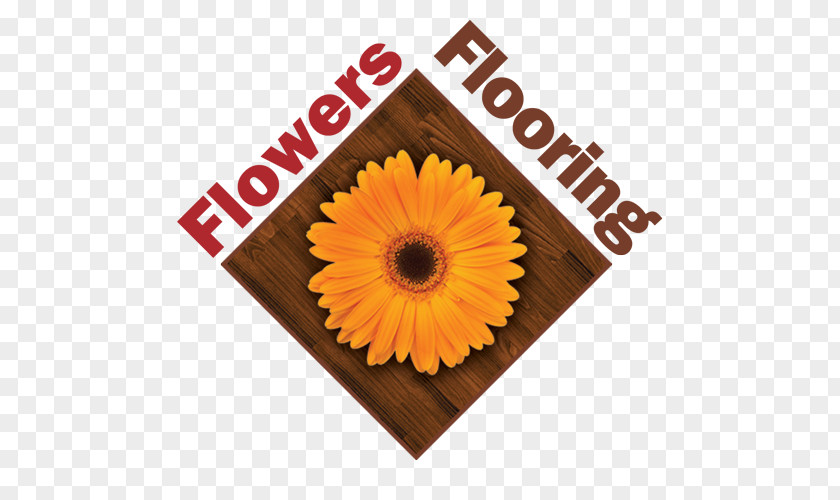 Carpet Auburn Flowers Flooring Sales Business PNG