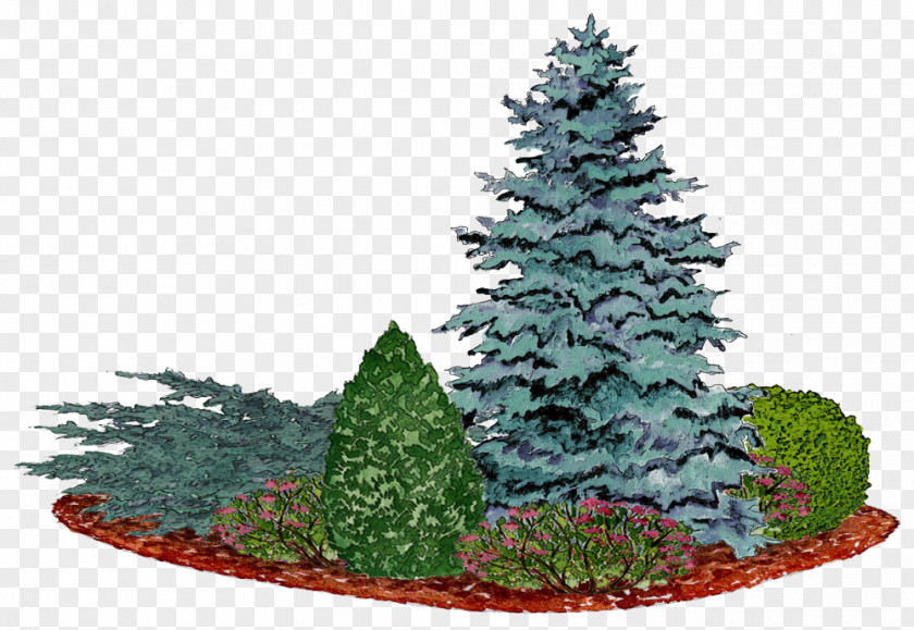Christmas Tree Spruce Pine Fir Bedding PNG