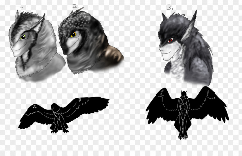 Eastern Screech Owl Canidae Dog Werewolf Fur Snout PNG