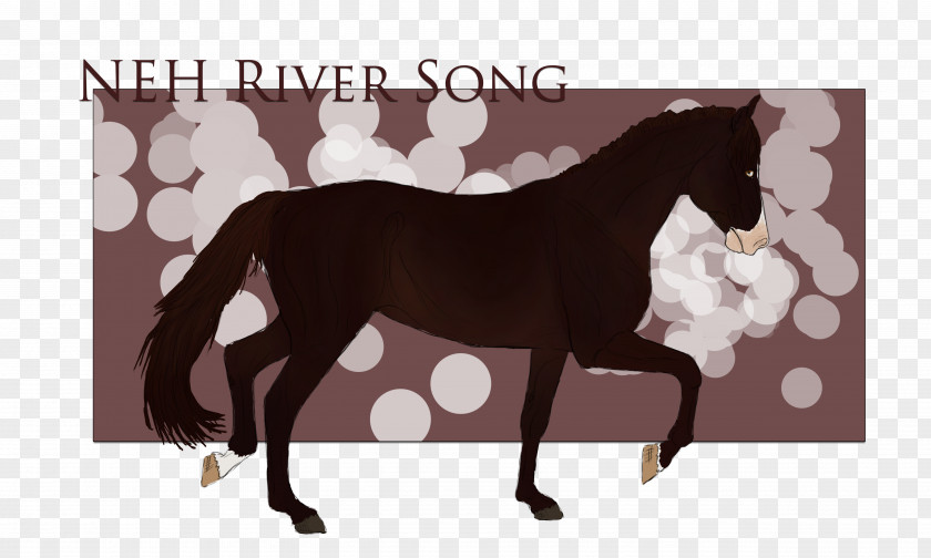 River Song Mustang Foal Stallion Mare Colt PNG