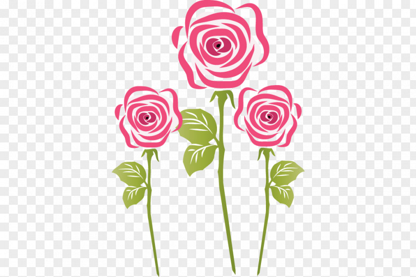 Rose Garden Roses Cut Flowers PNG