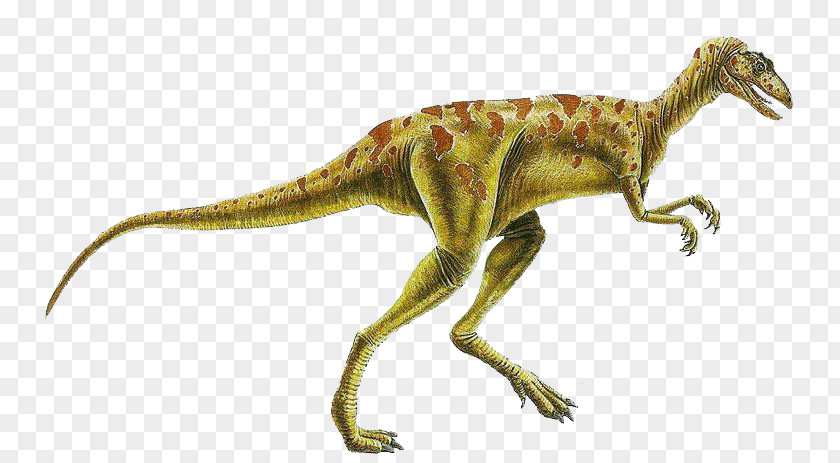 Dinosaur Herrerasaurus Staurikosaurus Eoraptor Lunensis Coelophysis Placerias PNG