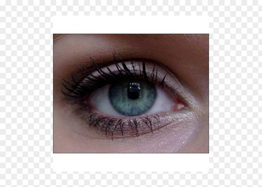Eye Eyelash Extensions Shadow Liner Mascara Lip PNG