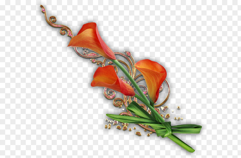 Flower Cut Flowers PNG