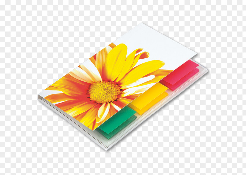 Lack Transvaal Daisy Rectangle PNG