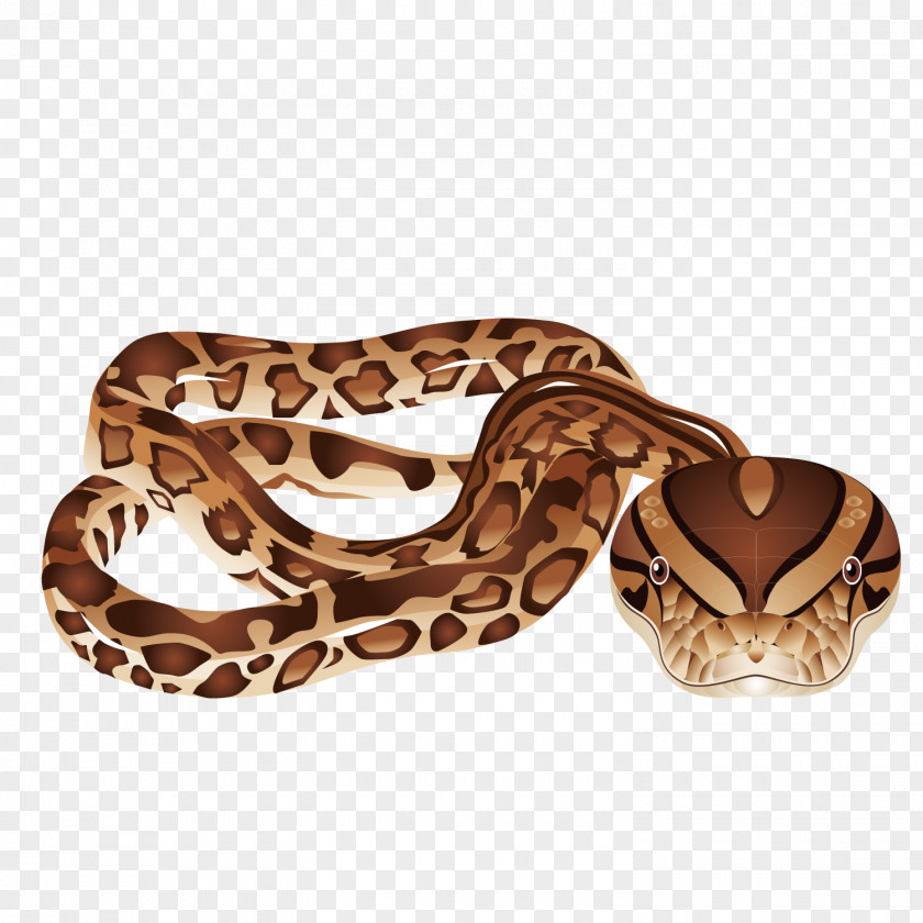 Long Flower Snake Vipers Download Clip Art PNG