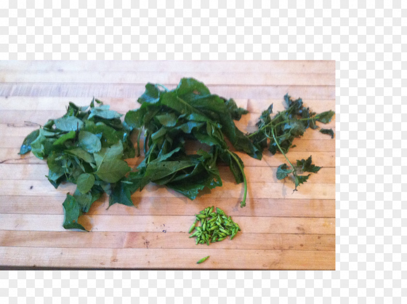 Parsley Spring Greens Recipe Leaf Vegetable PNG