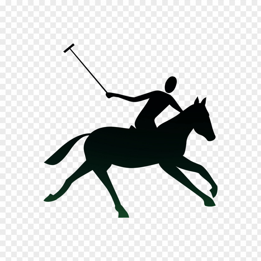 Polo Equestrian Royalty-free Vector Graphics Stock Photography PNG