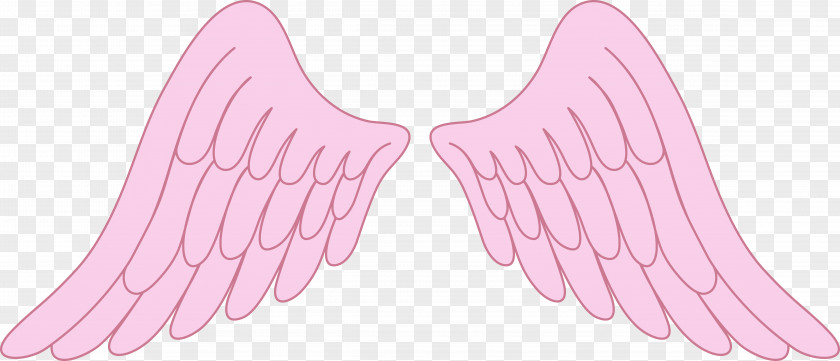 Wings Pink Drawing Clip Art PNG