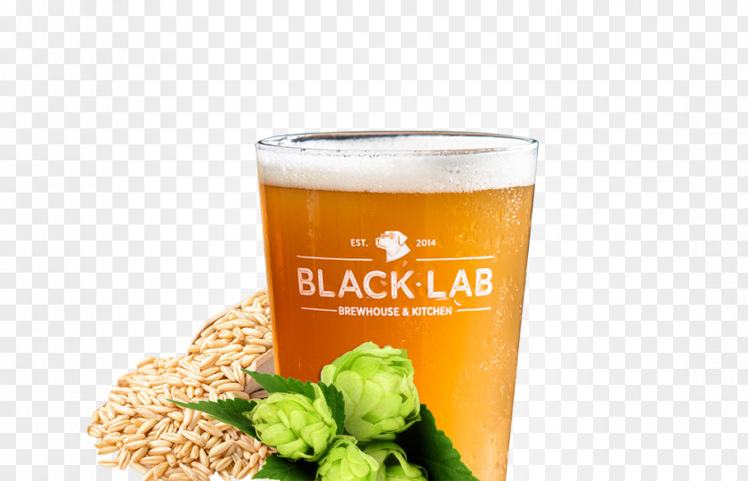 Beer Cocktail India Pale Ale Wheat PNG
