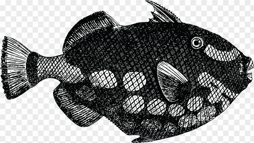 Dead Fish Download Clip Art PNG