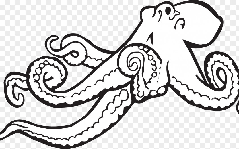 Giant Pacific Octopus Size Clip Art Openclipart Illustration Free Content PNG
