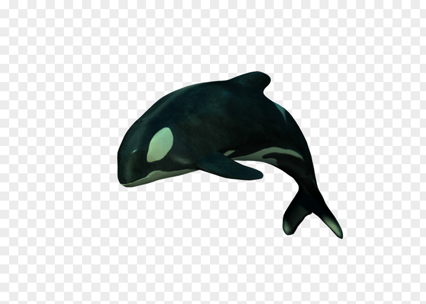 Kentucky PhotoScape Adobe Photoshop GIMP Oceanic Dolphin PNG